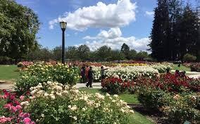 Municipal Rose Garden