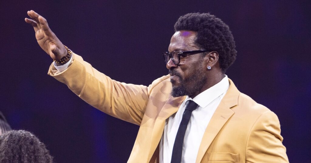 Patrick Willis_Image.